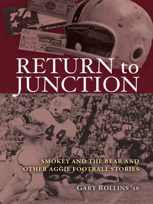 cover image of Return to Junction